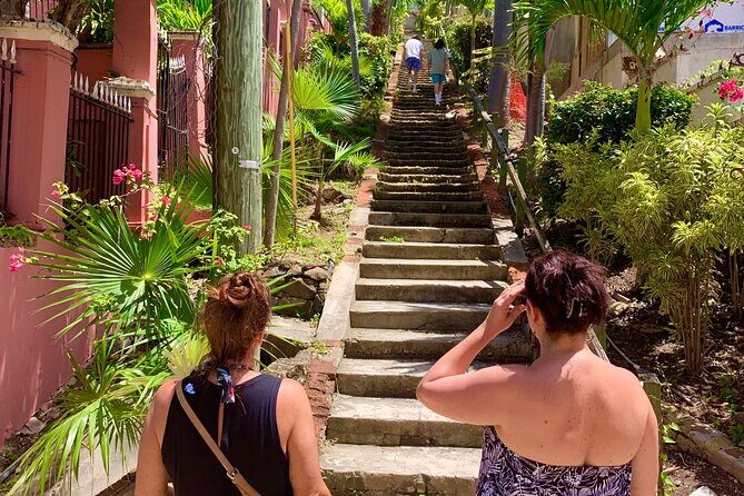 6 Hour St. Thomas Private Sightseeing Tour - The best part for most people: Magens Bay beach time (plus your choice)