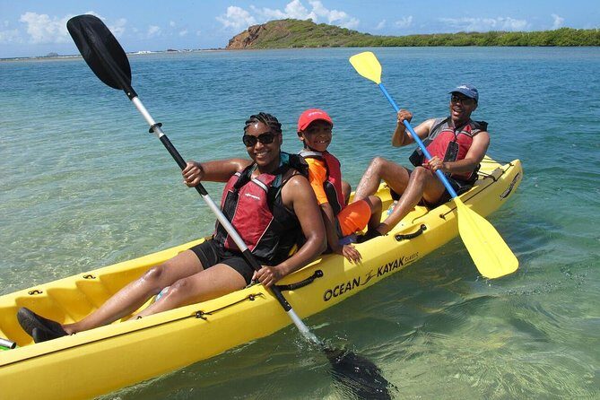 Best of Mangrove Lagoon Kayak, Hike and Snorkel Adventure with Picnic Lunch - Key things I’d bank on before you go
