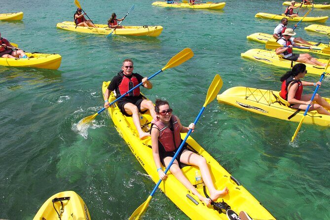 Best of Mangrove Lagoon Kayak, Hike and Snorkel Adventure with Picnic Lunch - Your start point: Virgin Islands Ecotours and quick setup