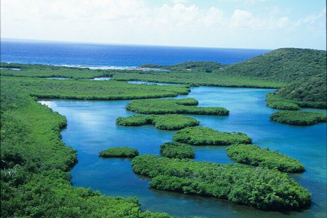 Best of Mangrove Lagoon Kayak, Hike and Snorkel Adventure with Picnic Lunch - Snorkeling for coral reef life and stingrays