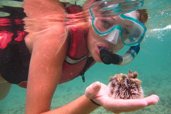 Best of Mangrove Lagoon Kayak, Hike and Snorkel Adventure with Picnic Lunch - What the small-group size changes for you
