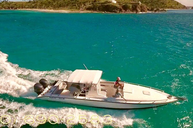 Caribbean Blue Charters - Full Day Boat Charter - 35' Marlin Power Boat - What You’ll See in the Water: Turtles, Sharks, and Sea Life Time