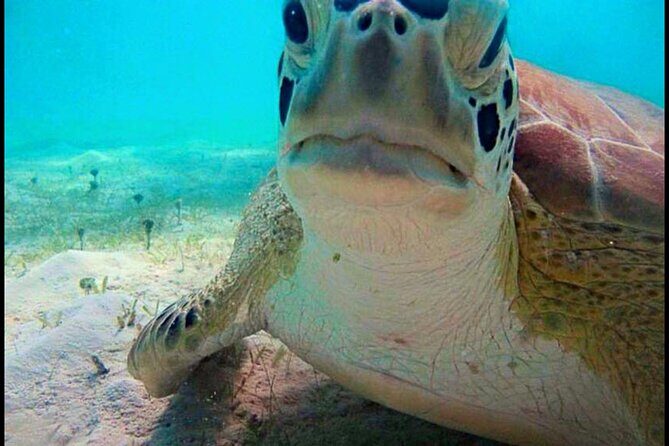 Cas Cay - Kayak Hike and Snorkel Adventure - Should You Book the Cas Cay Kayak Hike and Snorkel Adventure?