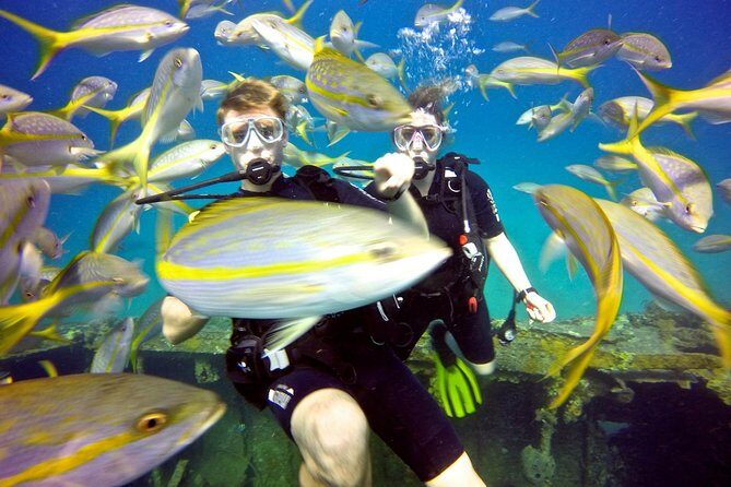 Discover Scuba Diving with No Certification in St Thomas - St Thomas in a Boat-First Setting (and Why Small Groups Matter)