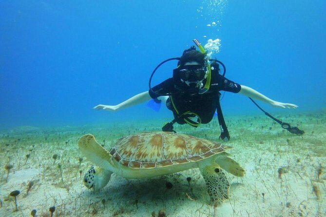 Discover Scuba Diving with No Certification in St Thomas - On the Boat: How You Learn to Communicate Underwater