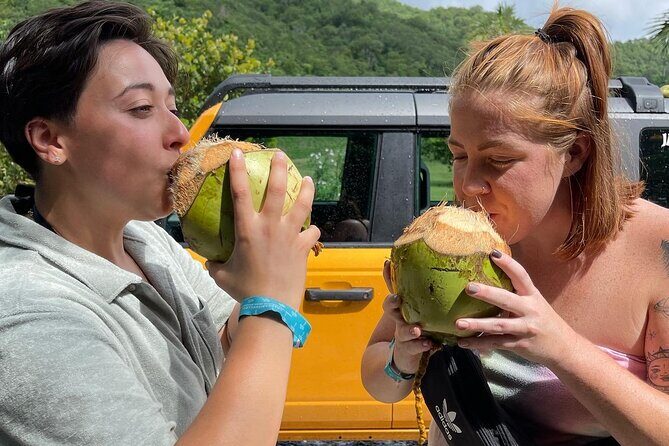 Full Day Cultural Jeep Beach Tour, St. Thomas & Water Island - Key highlights worth knowing