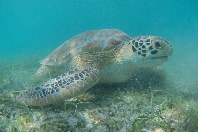 Full Day Private Charter, Snorkel St. John (12 guests, 55’ yacht) - What to Expect Day-of: Timing, Tickets, and Weather Reality