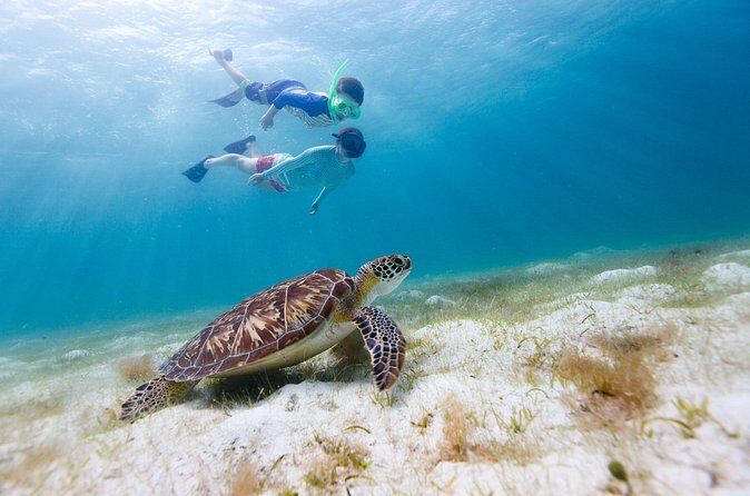 Full or Half Day Private Power Catamaran- USVI Beach and Snorkel - Honeymoon Beach and Maho Bay: calm water, then turtles