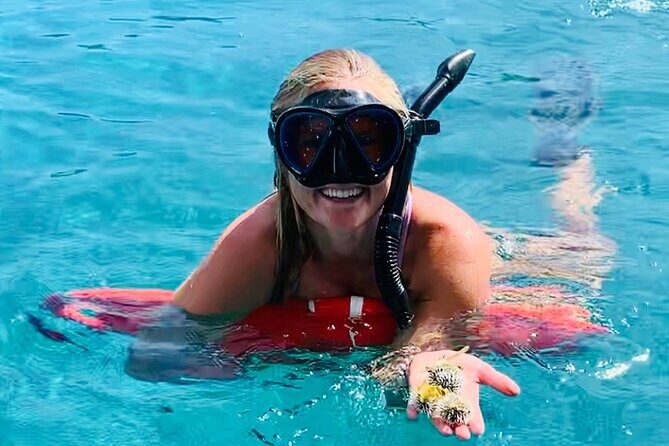 Half Day Luxury Catamaran Turtle Snorkel And Beach - Key things that make this trip work
