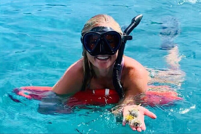 Half Day Luxury Catamaran Turtle Snorkel And Beach - A half day that beats the big-boat chaos