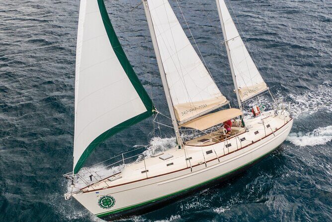 Half Day Sail and Snorkel with the Turtles - From R Bar to the Historic Harbor Scene You’ll Actually Remember