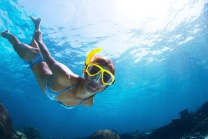 Half Day Snorkeling Tour from Margaritaville - Key highlights I’d bank on