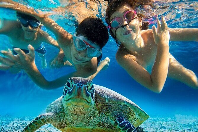 Half Day Snorkeling Tour from Margaritaville - The Reef Snorkeling Experience Off St. Thomas: What You’re Actually Doing