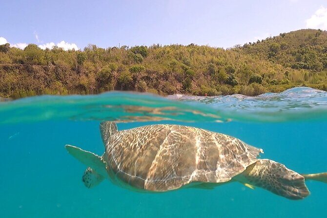 Half or Full-Day Private Boat Charter from St. John or St. Thomas - Quick highlights that matter