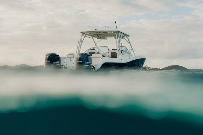 Half or Full-Day Private Boat Charter from St. John or St. Thomas - Snorkeling you can actually enjoy: gear, timing, and what to look for