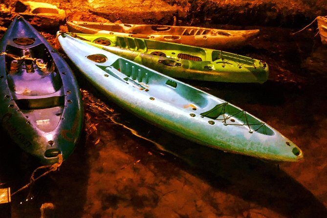 Illuminated Night Kayaking at the Elysian Resort - What You’ll Actually See From an Illuminated Kayak