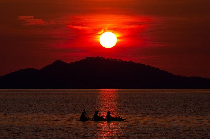 Illuminated Night Kayaking at the Elysian Resort - Price and Value: Is $82 Worth It?