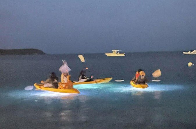 Illuminated Night Kayaking at the Elysian Resort - Who This Tour Fits Best (and Who Might Feel It’s Not for Them)