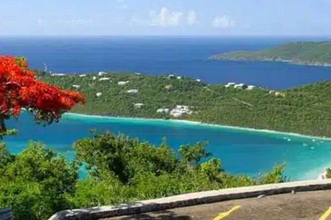 Island Buggy Excursions - Brewer’s Bay: sea turtles, a walk-over vibe, and quick food breaks