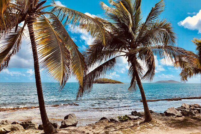 Island Life Jeep Tours - Your Day Your Way Private Excursion! - Getting picked up and handling St. Thomas roads