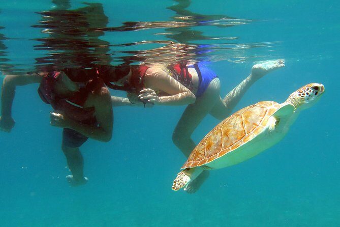 Kayak and Sea Turtle Snorkel with Beach Break - Beach-based kayak lessons: what you’re really paying for