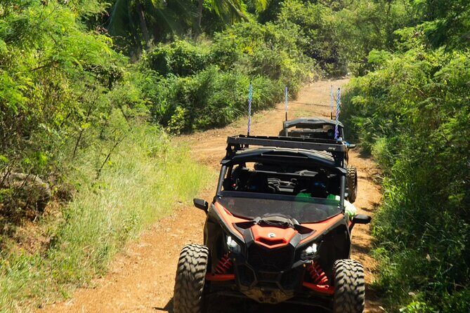 Key N Go -2 Hour Adventure UTV/ ATV in St. Thomas, USVI - The Driving Feel: Manual Controls, Dust, and Speed You Control