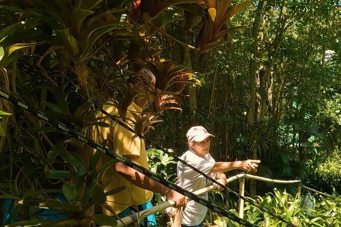 Luxury Private Tour in ST.Thomas(6per group) - What makes the guides matter in real life