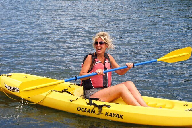 Mangrove Lagoon Kayak Rental in St Thomas - Kayaking the Mangrove Tunnels of St Thomas: What This Day Really Is