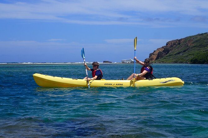 Mangrove Lagoon Kayak Rental in St Thomas - Price and Time: Is $69 Worth It for a Full Day?