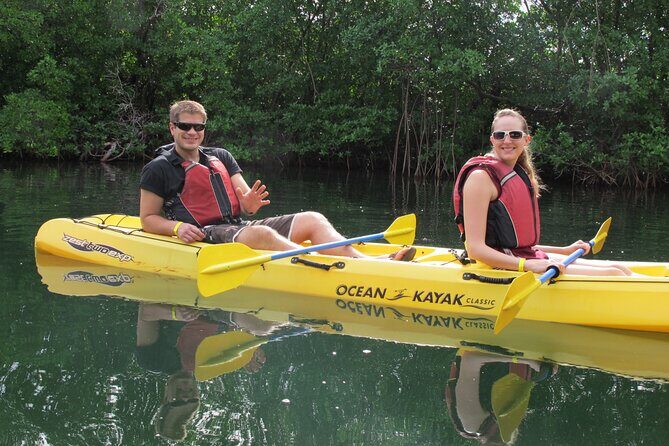 Mangrove Lagoon Kayak Rental in St Thomas - Orientation and Safety Briefing: Quick, Clear, Then You Paddle
