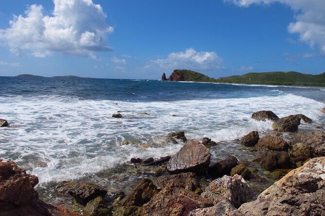 Mangrove Lagoon Kayak Rental in St Thomas - Choosing Single vs. Double Kayak: How That Changes Your Day