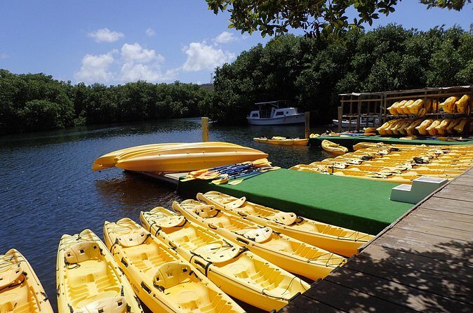 Mangrove Lagoon Kayak Rental in St Thomas - Going at Your Own Pace With a 4:30 PM Return Window