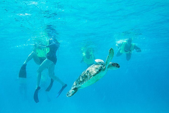 National Park Snorkeling Excursion - Key highlights before you go