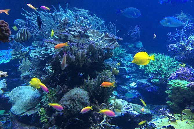 National Park Snorkeling Excursion - Equipment, safety, and first-timer comfort on a 47’ power catamaran