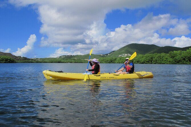 On Your Own: Kayak in the Mangrove Lagoon - The Best Part Isn’t the Water: Time for Walking on the Cays