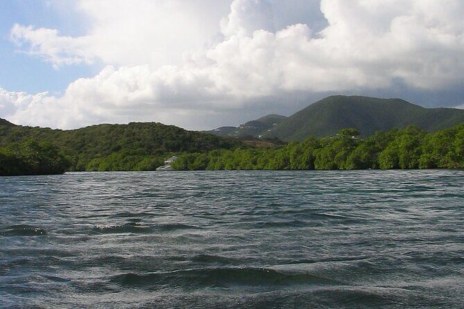 On Your Own: Kayak in the Mangrove Lagoon - Practical Tips for a Smoother 9:00 am Start