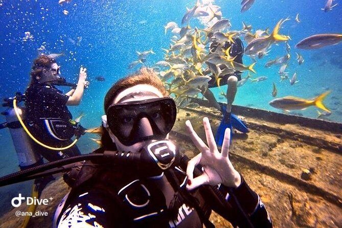 PADI / SSI Open Water Certification - St Thomas Open-Water Certification in a Small Group