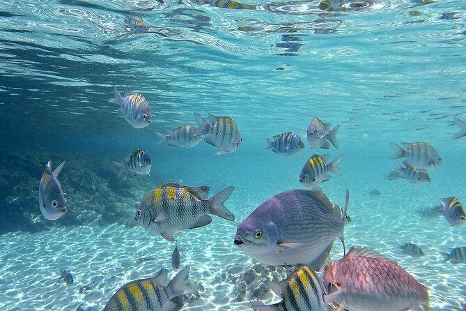 Paradise Taxi & Tours USVI-St Thomas- Airport Transfer Sapphire / Crystal Cove - Where your driver meets you: airport, hotel, and Red Hook style ferry