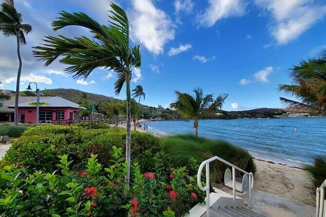 Paradise Taxi & Tours USVI-St. Thomas Airport Transfer to Wyndham Margaritaville - Airport Pickup at Cyril E. King: Where to Stand and What to Expect
