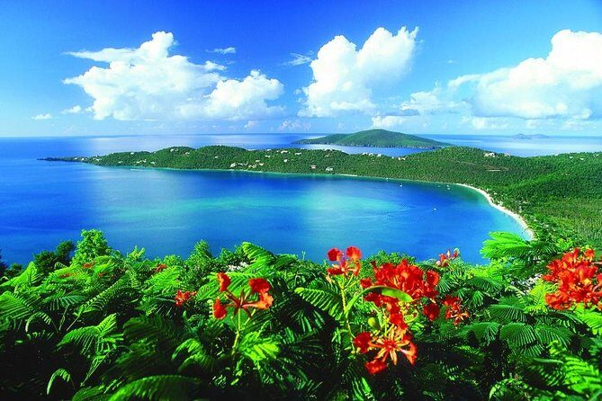 Paradise Taxi & Tours USVI - St. Thomas, Virgin Islands- Island Scenic Tour - Pickup, timing, and how to avoid the most common hiccups