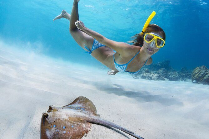 Private Full Day BVI Boat Charter Aboard MV Aquarius - Jost Van Dyke and the Foxy’s / Soggy Dollar experience