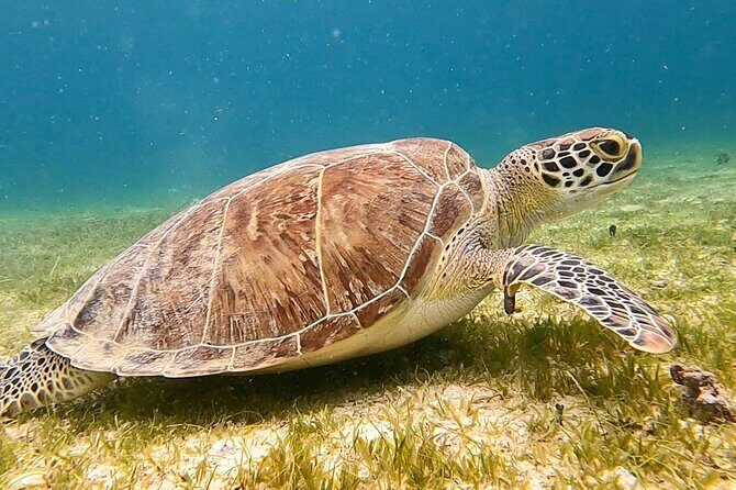 Private Full Day Charter to the British Virgin Islands from USVI - Snorkeling gear and onboard comfort: small inclusions that matter
