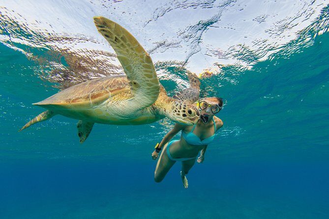 Private Luxury Charter Aboard New Multi-Deck Lagoon Catamaran - Snorkel Stops Around St Thomas and Nearby Cays: What the Day Looks Like