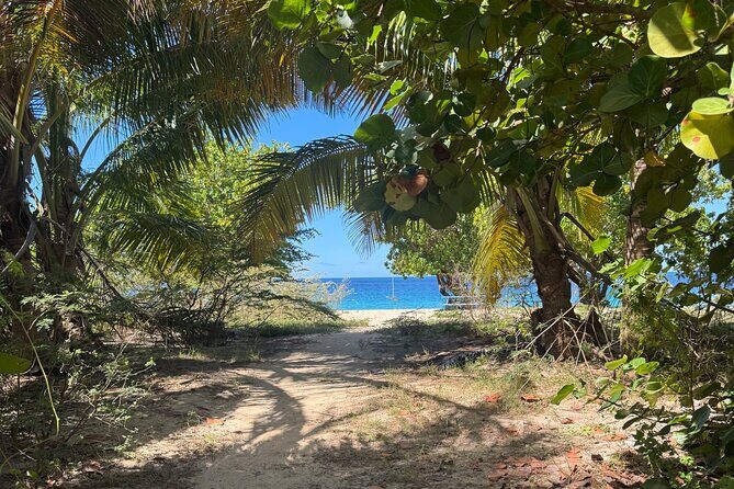 Private Open-Air Jeep Adventure with Tropic Sun –Hidden Beaches - Key Points to Know Before You Go