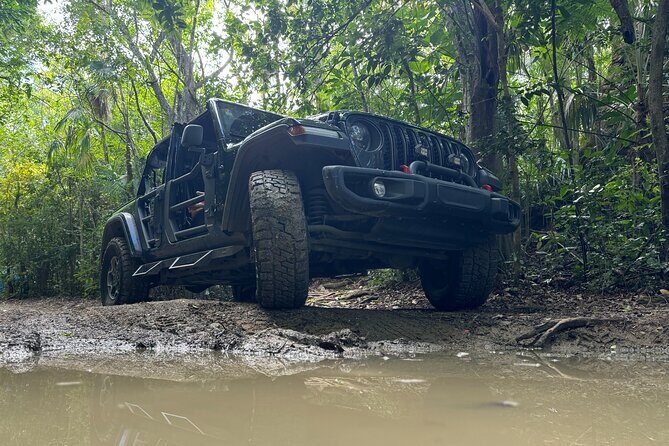Private Open-Air Jeep Adventure with Tropic Sun –Hidden Beaches - Mountain Top and Drake’s Seat: Big Views Without Wasting Your Whole Day