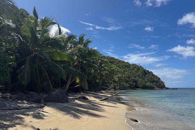Private Open-Air Jeep Adventure with Tropic Sun –Hidden Beaches - Rum Punch and the Cooler Vibe (Island Casual, Not a Beverage Bus)