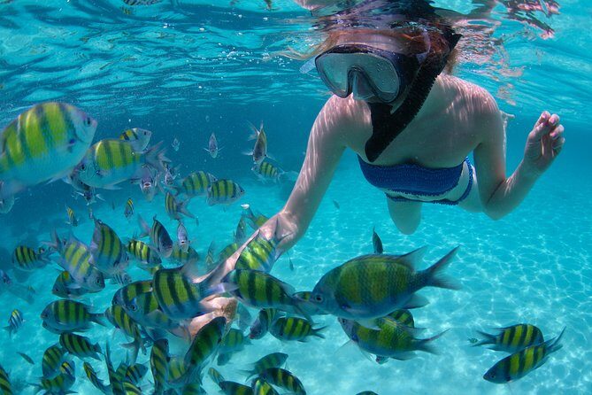 Sail/Snorkel Adventure from Sapphire Marina,STT NO CROWDS~ 6 GUEST MAX - From Sapphire Beach to the Cosmos Mariner: why the small group matters