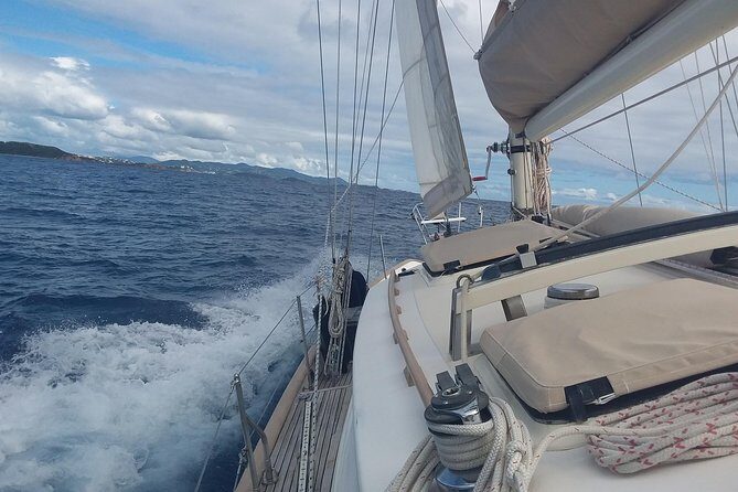Sail/Snorkel Adventure from Sapphire Marina,STT NO CROWDS~ 6 GUEST MAX - Wildlife sightings: what you’re most likely to see