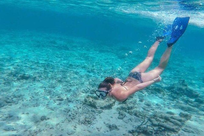 Sail/Snorkel Adventure from Sapphire Marina,STT NO CROWDS~ 6 GUEST MAX - What to bring (and what to avoid for reef-friendly snorkeling)