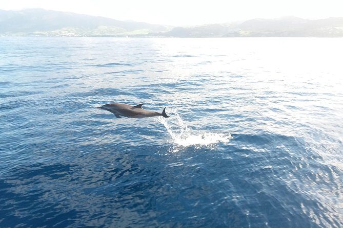 Sail/Snorkel Adventure from Sapphire Marina,STT NO CROWDS~ 6 GUEST MAX - Who this trip is best for (and who might want a different option)